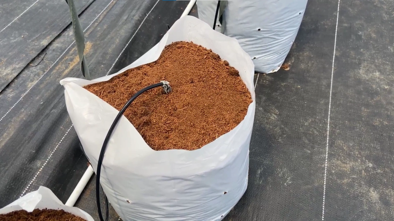 Dosing nutrient machine